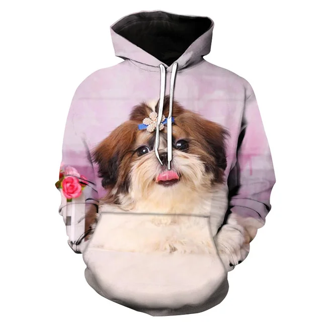 Image 22
