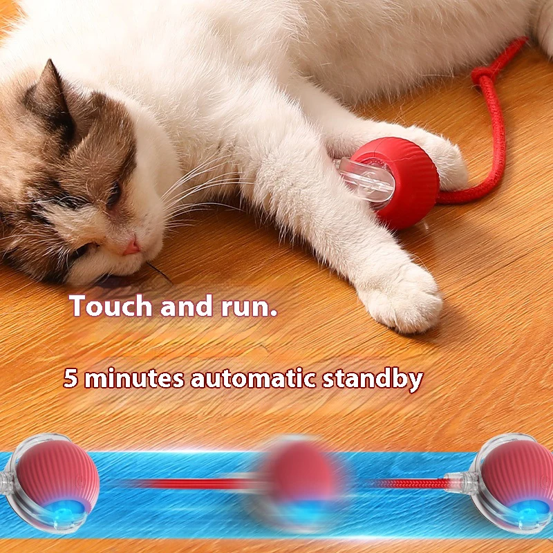 Rechargeable Electric Cat Ball Toy with Teaser Bird & Smart Sensor 4