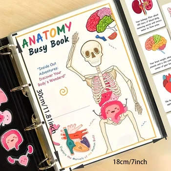 Human Anatomy Busy Book 1