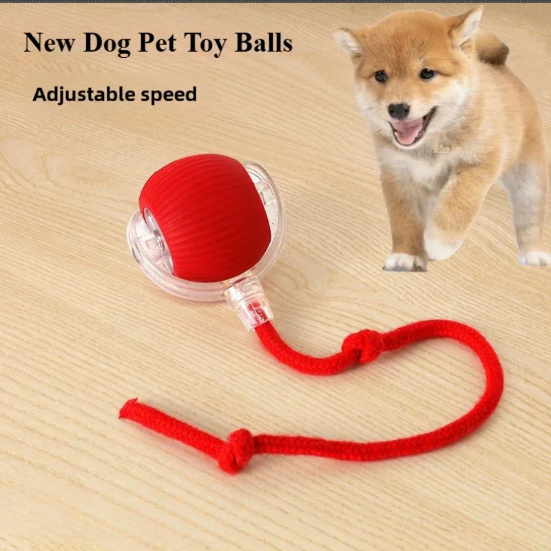 New Electric Dog Ball Toy Simulation Cat Tail Rechargeable Intelligent Pet Interactive Automatic Rolling Ball Toy view 2