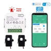 WiFi Smart Bidirectional Power Monitor with 1/2 Channel Electricity Meter with Current Transformer with Buzzer Alarm AC110V/240V 2