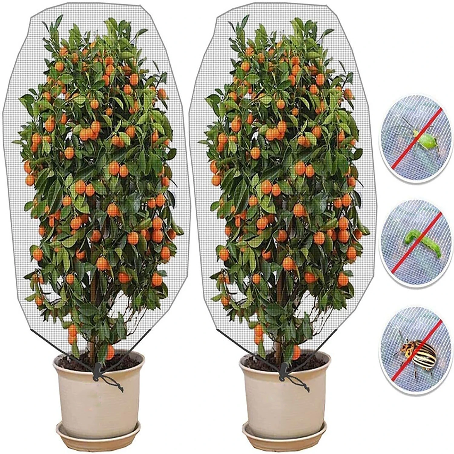 S4e2658307b29492b87a123f3b152c0f1G