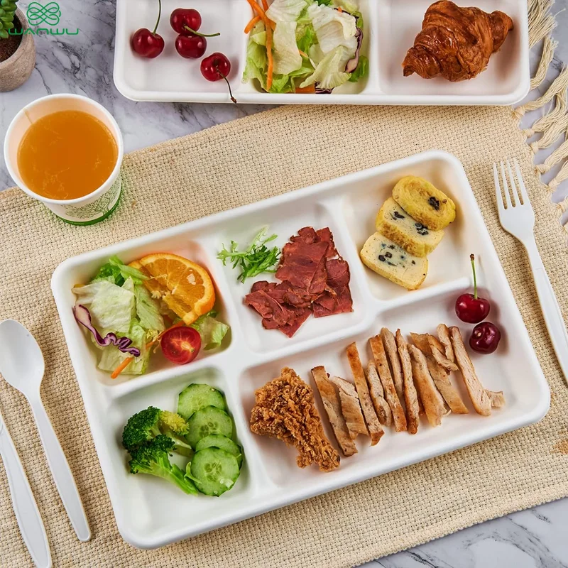 5 grid plates,25 disposable paper plates, heavy duty biodegradable sugarcane trays, eco-friendly school lunch trays