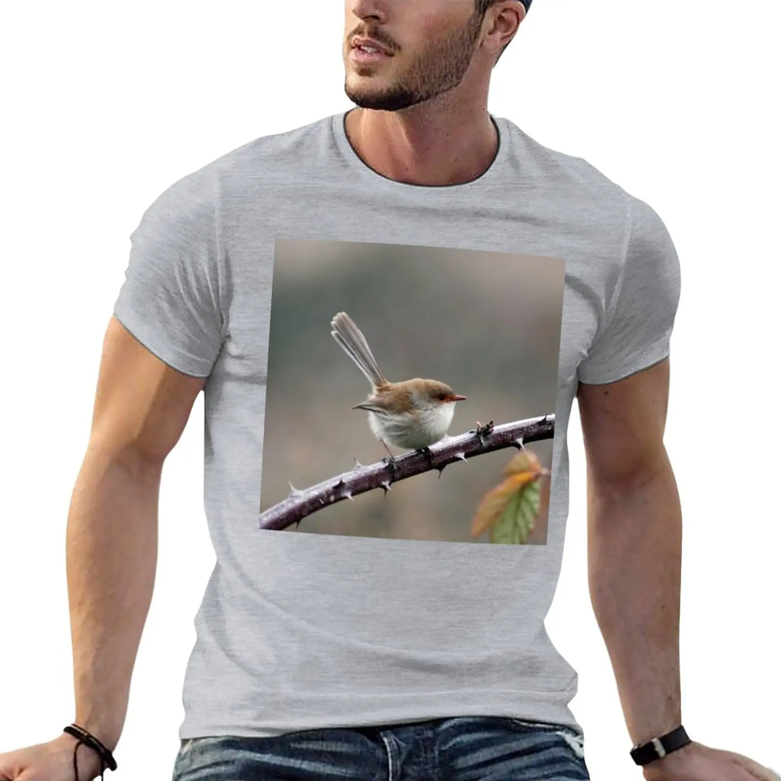 

Australian Bird, Female Superb Fairy Wren, Wildlife Bird Photography T-Shirt sweat shirt mens vintage t shirts