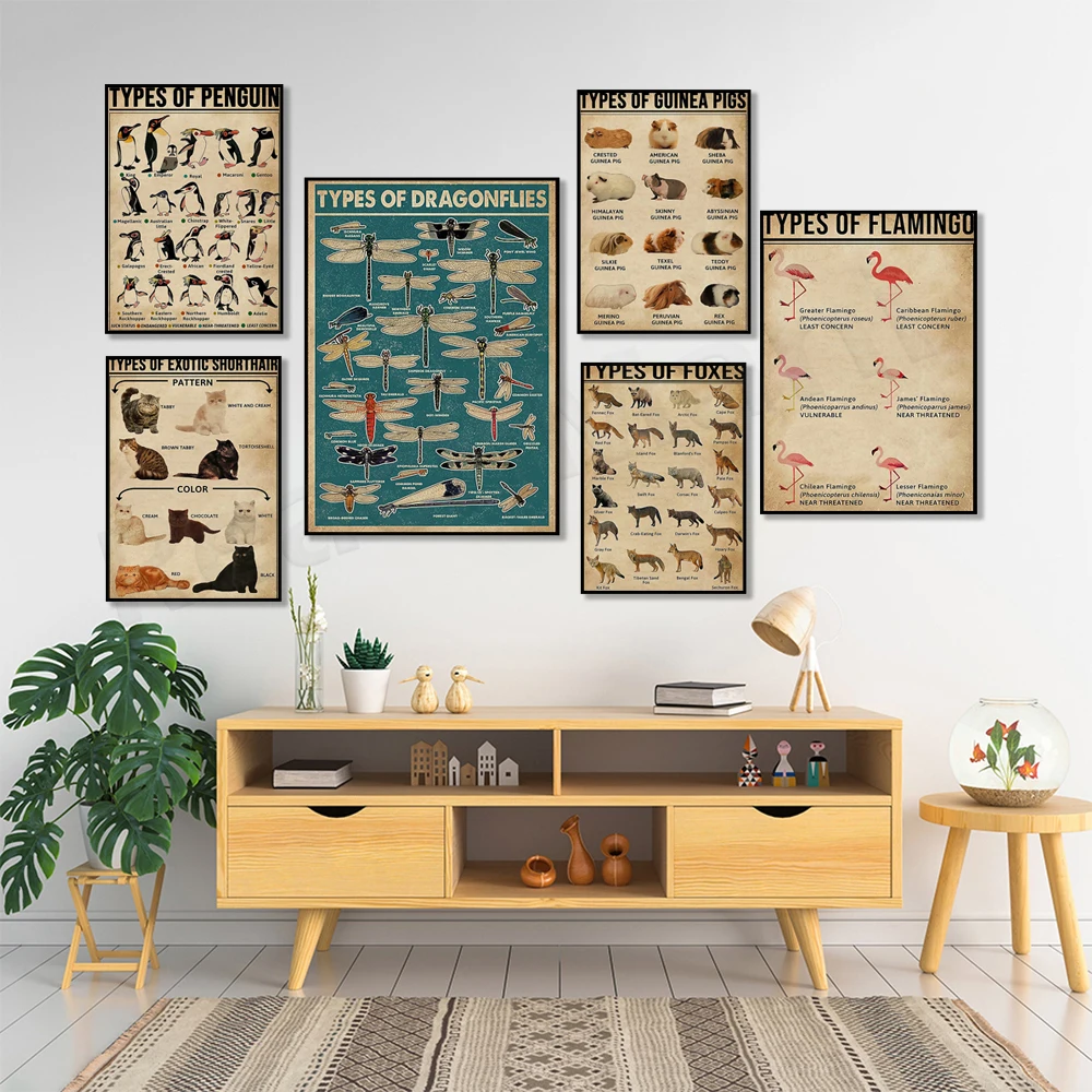 

Fox, guinea pig, dragonfly, flamingo, dolphin, various exotic shorthair cats, various dachshunds, penguin knowledge poster