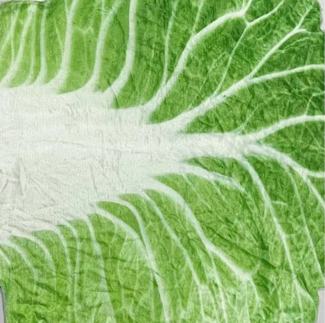 2024 New Infant Blanket Imitation Cabbage Air Conditioning Cover Blanket Imitation Vegetable Children's Gift Creativity 85*85CM 3