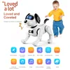 Hot-Selling Jjrc Children'S Intelligent Remote Robot Stunt Voice Dialogue Gesture Induction Toy Pet Robot Dog Birthday Gift 2