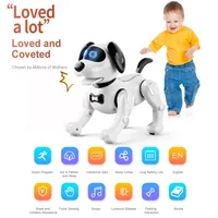 Hot-Selling Jjrc Children'S Intelligent Remote Robot Stunt Voice Dialogue Gesture Induction Toy Pet Robot Dog Birthday Gift 2