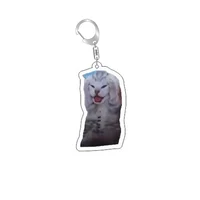 Funny Cat Memes Series Keychain Student Gift Bag Lanyard  Women's Bag Pendant Keychain Cute Things Cheap Gift For Best Friends 5