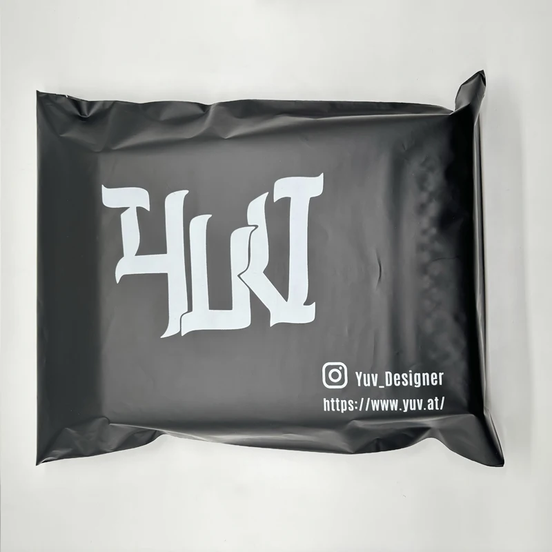 Рисунок 4 - Пользовательский логотип