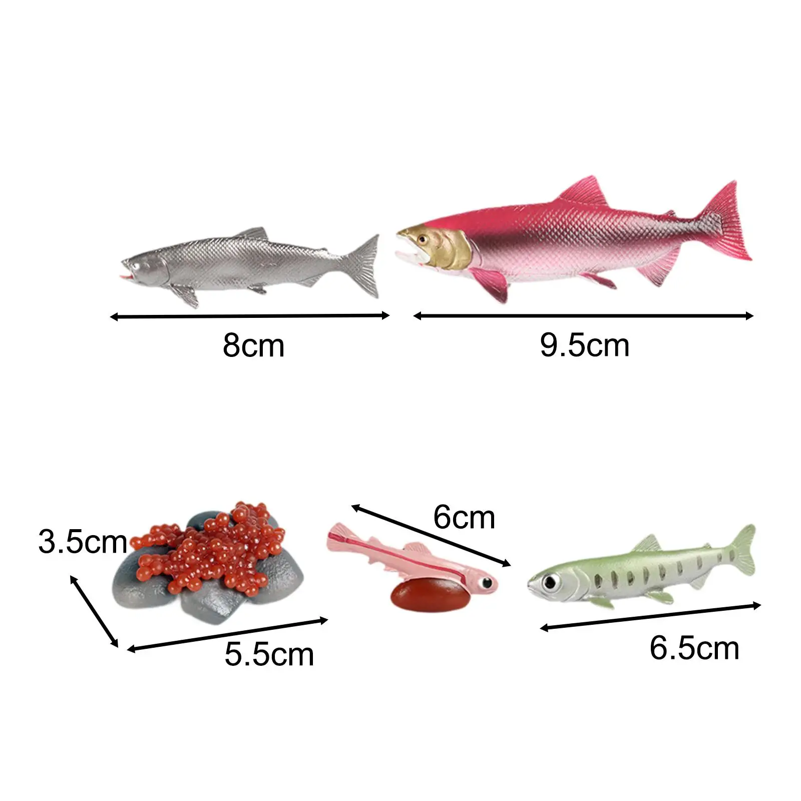 Life Cycle of Salmon Toys Teaching Tools Farm Animals Figurines for Storytelling Presentations Daycare Role Play Birthday Gifts 6