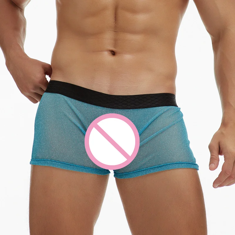 

Mens Underwear Mesh See Through Boxer Shorts Low Rise Underpants Breathable Sheer Boxers Trunks Male Gay Panties Men's Lingerie