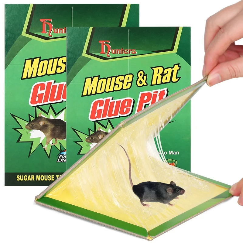Bugs Big Size Glue Traps Board Transparent Clear Sticky Rat Mice Mouse Rodent 