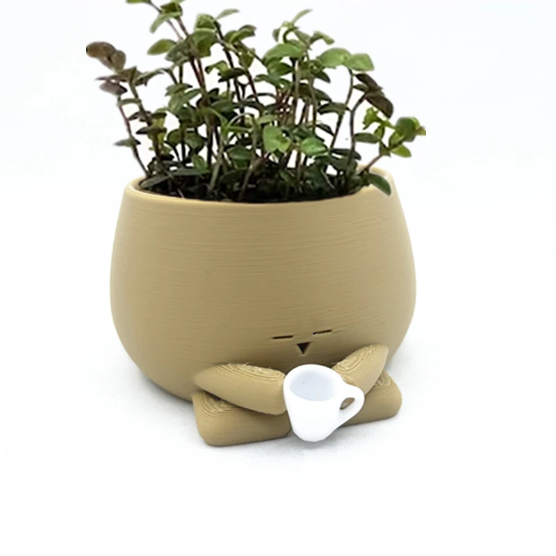 Cozy-Small Air Plant Holder para Plantas de Interior, Pote de Jardinagem, Holding Drink Planter, Vasos, Vasos