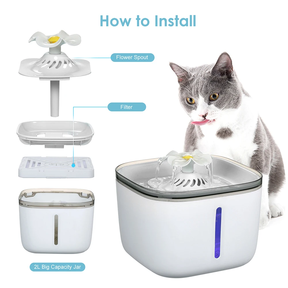 Can A Dog Drink From A Cats Water