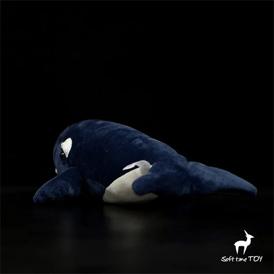 Black Right Whale High Fidelity Anime Plushie Humpback Bowhead Whale Plush Toys Lifelike Animals Simulation Stuffed Kawai Doll 3