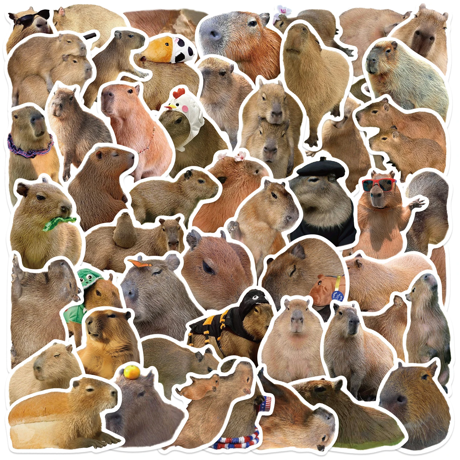 50 Stück Capybara-Tiere-Aufkleber, wasserfest, wiederverwendbar, für DIY-Laptops, Skateboards, Wasserflaschen, perfekt für Partys – Detail 2