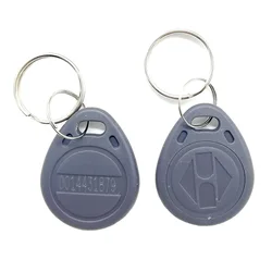 Colorful RFID Proximity Keyfobs - Pack of 100 Smart Access Control Cards, 125KHz (Gray)