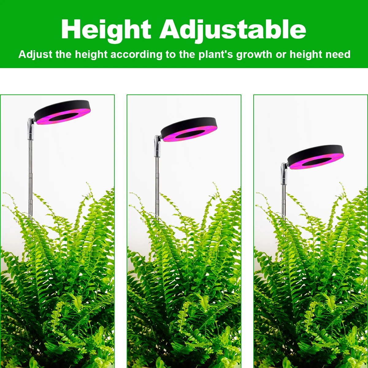 LED Houseplant Growth Light Tricolor Full Spectrum 3/9/12 Timing Height Adjustable Dimming Base