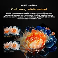 Metz TV 43 55 pouces 4K UHD Smart LED TV Google TV HDR 10 MEMC Dolby Audio Google Cast commande vocale Tuner 43MUF7000Z 55MUF7000Z 2
