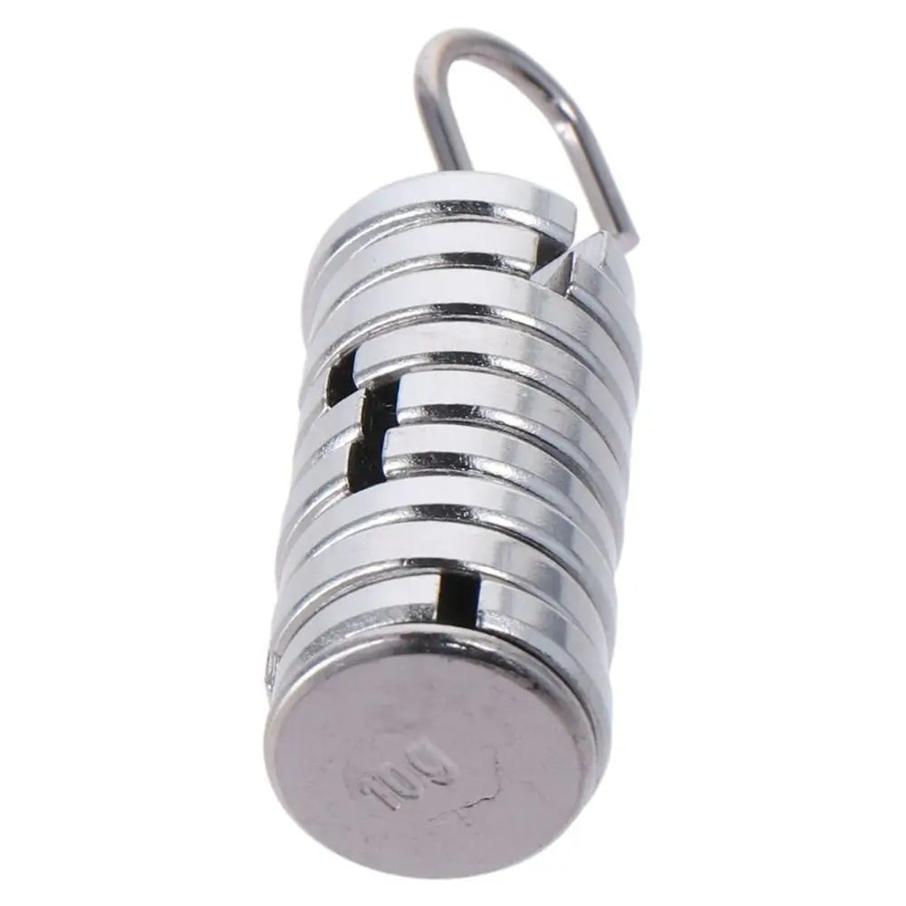 Premium Chromium-Plated Lab Slotted Mass Set Total 100g Silver Metal Slotted Weights 10g Each with Hanger and Case Laboratory