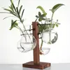 Plant Hangers with Vases Hydroponic Flower Holder Glass Vase Terrarium Kit for Indoor Plants Propagation Station for House 5
