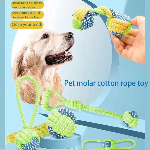 Pet Dog Toys for Large Small Dogs Plush Animal Toy Interactive Mini Dog Toys  Ball for Dogs Accessories Toothbrush Chew Puppy Toy - AliExpress