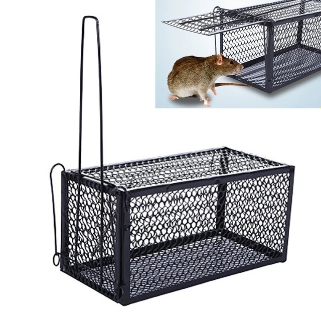 Piège à rats de qualité, pièges à cage de souris d'animaux vivants