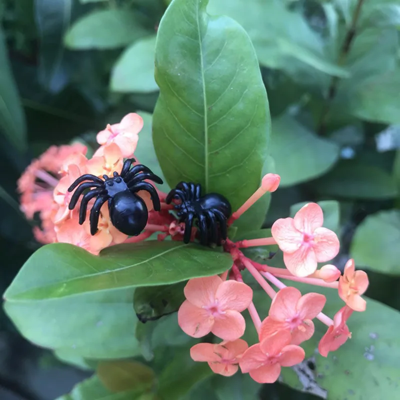 50/20pcs Mini Spider Novelty Funny Joke Prank Plastic Fake Spider Toys Realistic Props Halloween Decor Simulation Tricky Toy