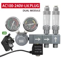 Dual module-UK plug