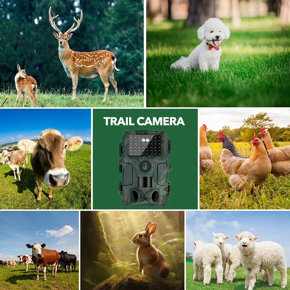 60MP 4K HD Outdoor Hunting Wildlife Trap Game Cam IP66 Waterproof Night Vision Hunting Trail Camera Wildlife Hunting Monitoring