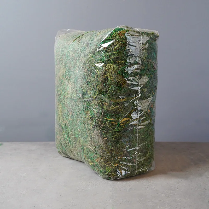 Artificial Immortal Moss Grass - Pure Bonsai