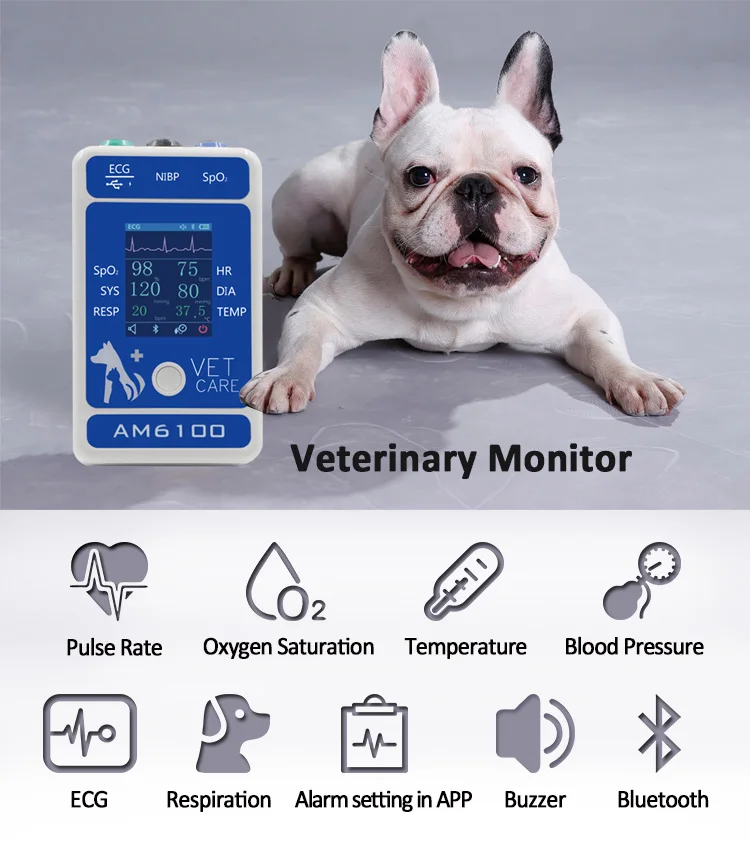 AM6100/AM6200 Veterinary Monitor animal Portable Handle Multiple Vital Signs 6 PARAMETERS Animal Vet Patient Monitor