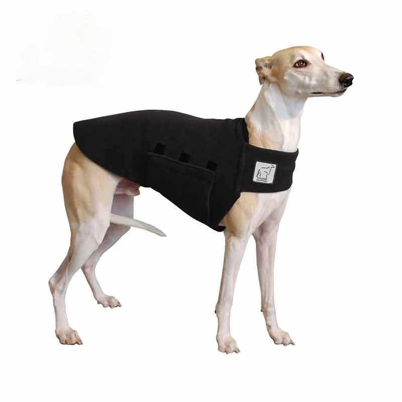 

Cute Naughty Whippet Tummy Warmer Dog Vest Motorcycle Car Stickers DIY Waterproof Anime Decals Vinyl Material Decoration