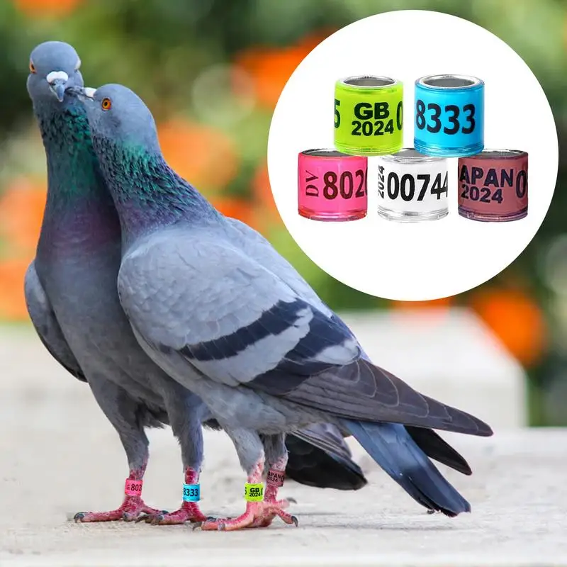 50Pcs Bird Pigeons Rings 8mm Bayonet Identification Ring Inner Diameter 8mm Plastic Clip Identification Outdoor