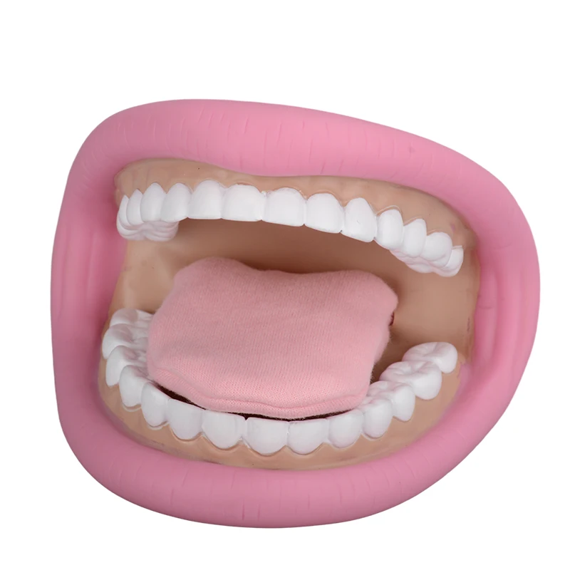 Marioneta Con Boca Y Mano Para Niños, 28 Dientes, Lengua Y B | Meses Marioneta Con Boca Y Mano Para Niños, 28 Dientes, Lengua Y B | Meses