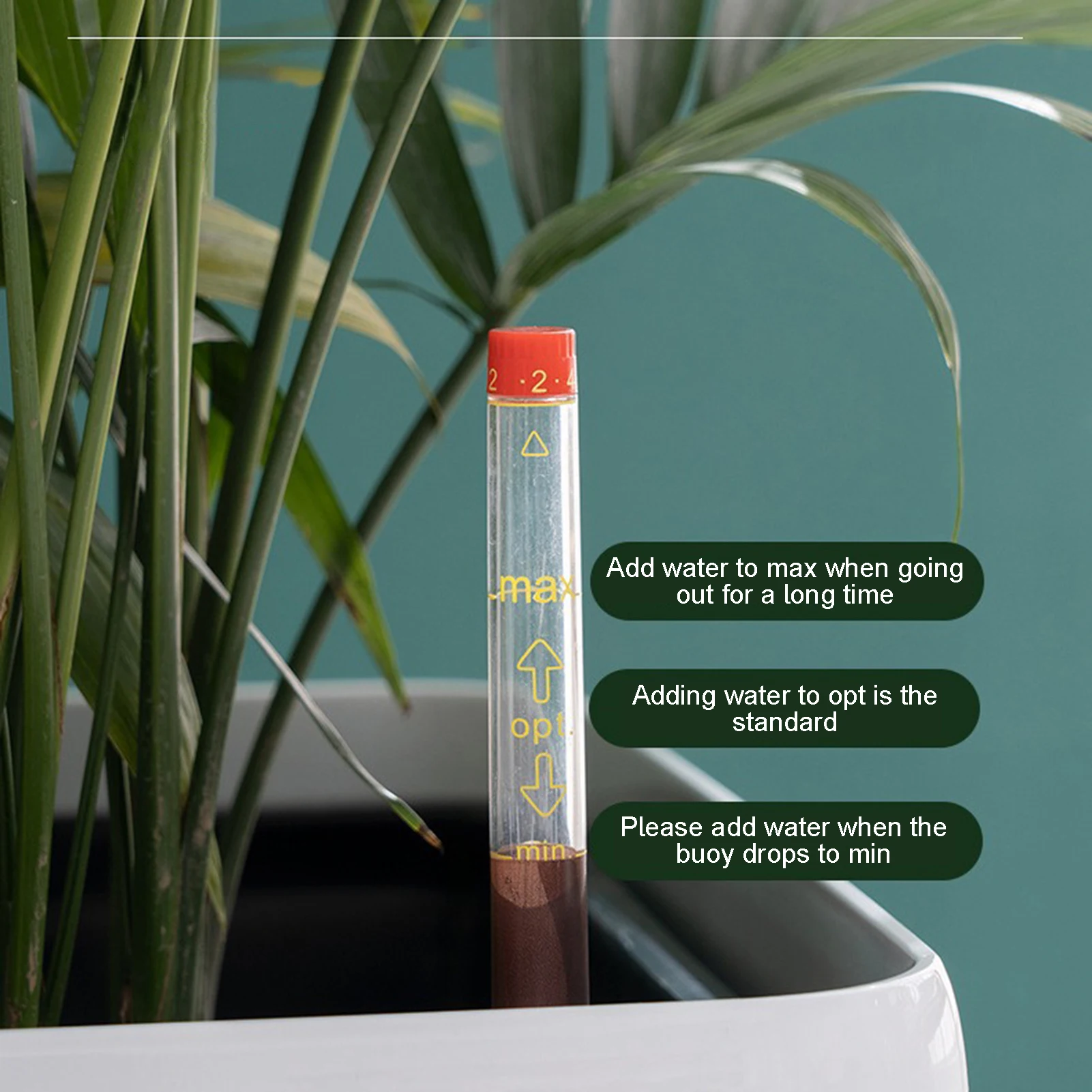 Self-Watering Indoor Planters with Water Level Indicators