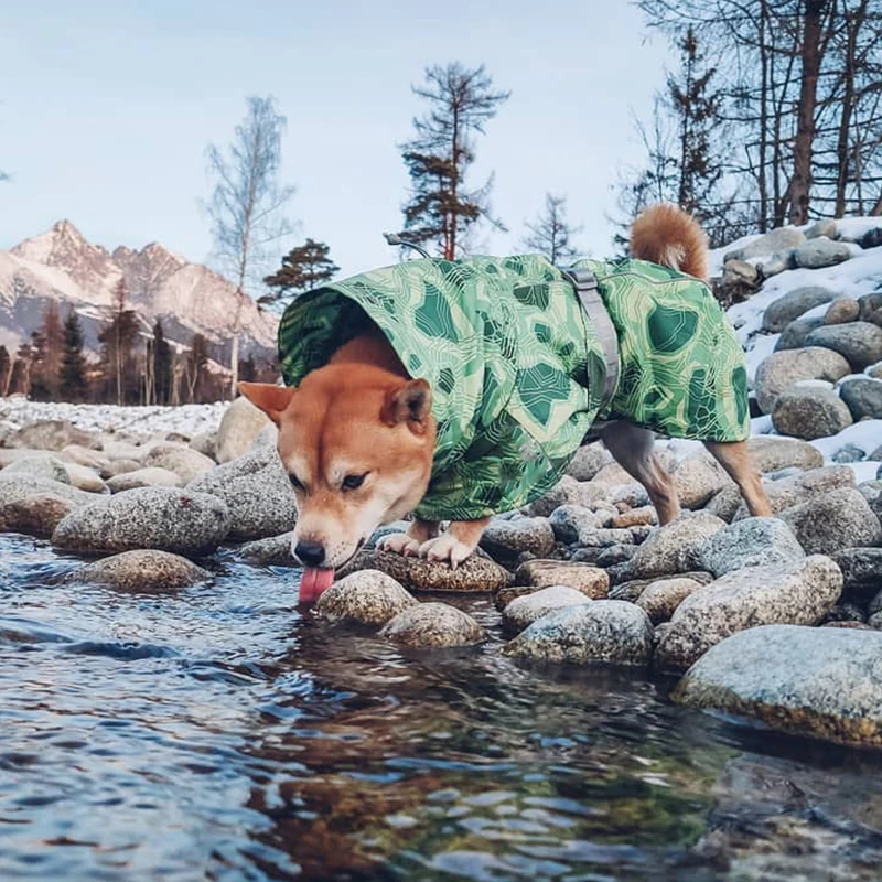 Yukon Large Dog Coat - Green 18 S4e4fd121eab4494fa0f610ad1ce3da30j