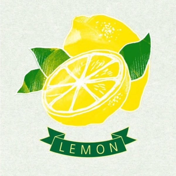 LEMON SPORTWEAR Store