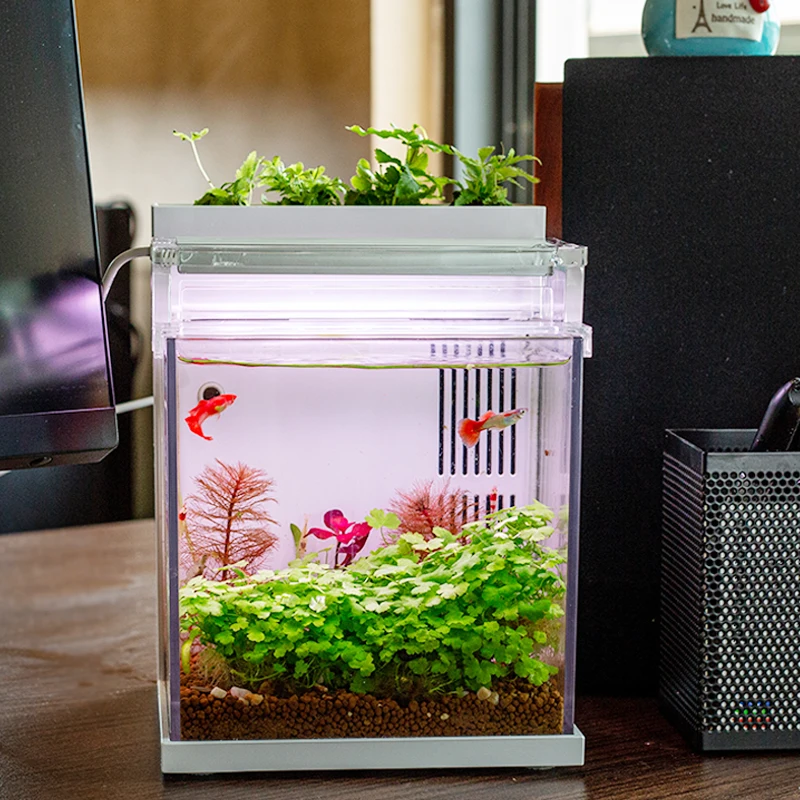 small-plastic-Fish-tank-LED-light-aquatic-light-acrylic-with-back-side-filtration-usb-interface-office.jpg Kis Műanyag Haltartály Led Lefi Vizsgálati Vizsgálati Akril, Hátoldalú Szűrés Usb Interfész Iroda Otthoni Dekorációja - Image 2