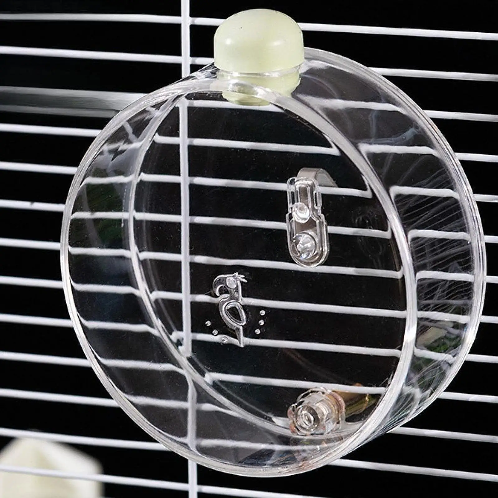 Parrot Bird Water Feeder Bird Water Fountain Water Bottle Bird Waterer Automatic for Canary Budgie Parakeet Dove Lovebirds