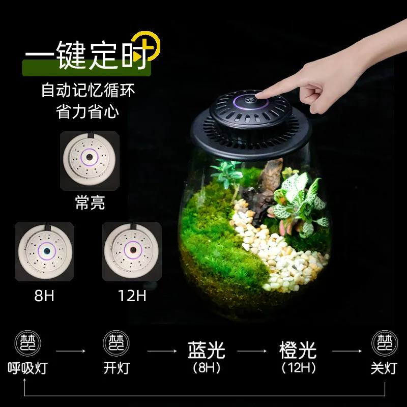 F2 Miniature Gardening Glass Plant Terrarium with Grow Light Succulent Moss Landscape Glass Terrarium Plant Lovers Gift