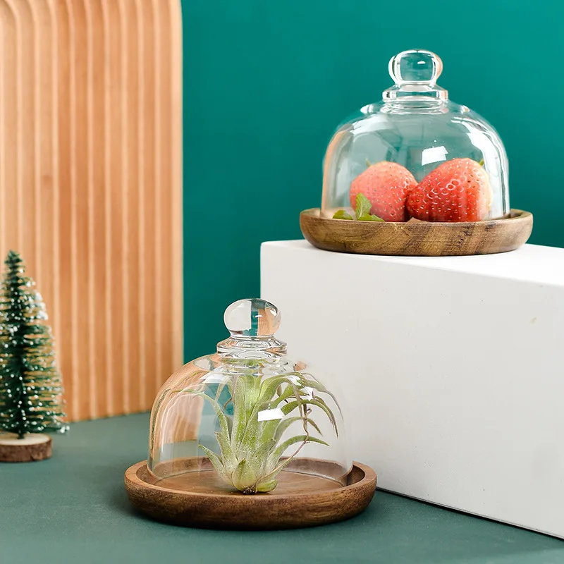 Mini Glass Dessert Dome with Base Small Decorative Cake Tray with Glass Dome Cover Cake Fruit Display Server Tray for Kitchen