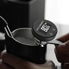 Steak serving - best thermometers