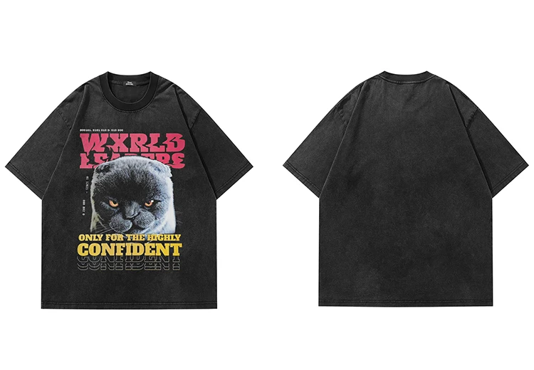 British Shorthair Cat Graphic T-Shirt S4e59d688f6e746b8af6629895107e9575