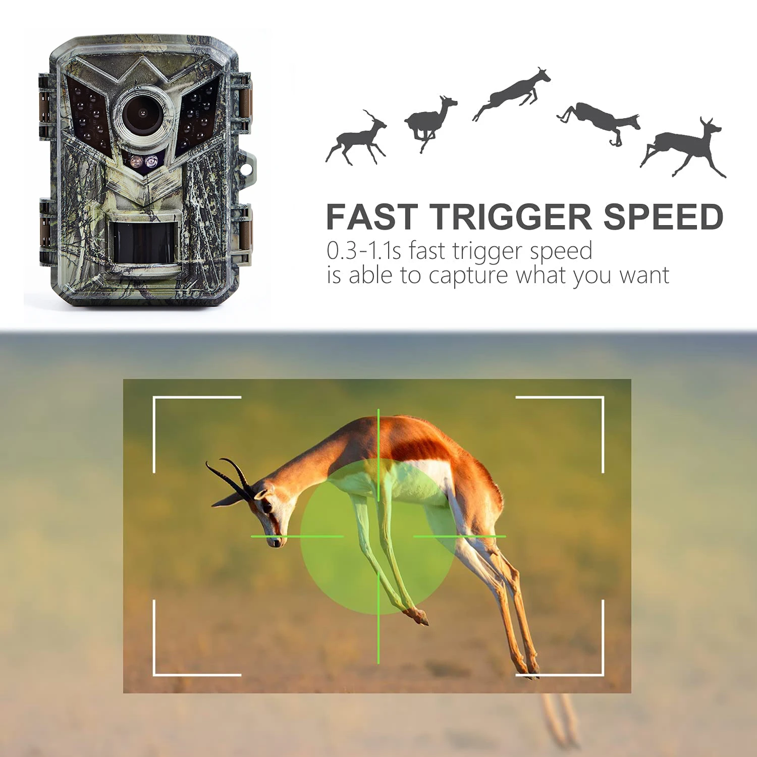 Hunting Trail Camera DL006 Mini 16MP 1080P HD Wild Trail Infrared Night Vision Outdoor Motion Activated Trigger Scouting Photo Traps