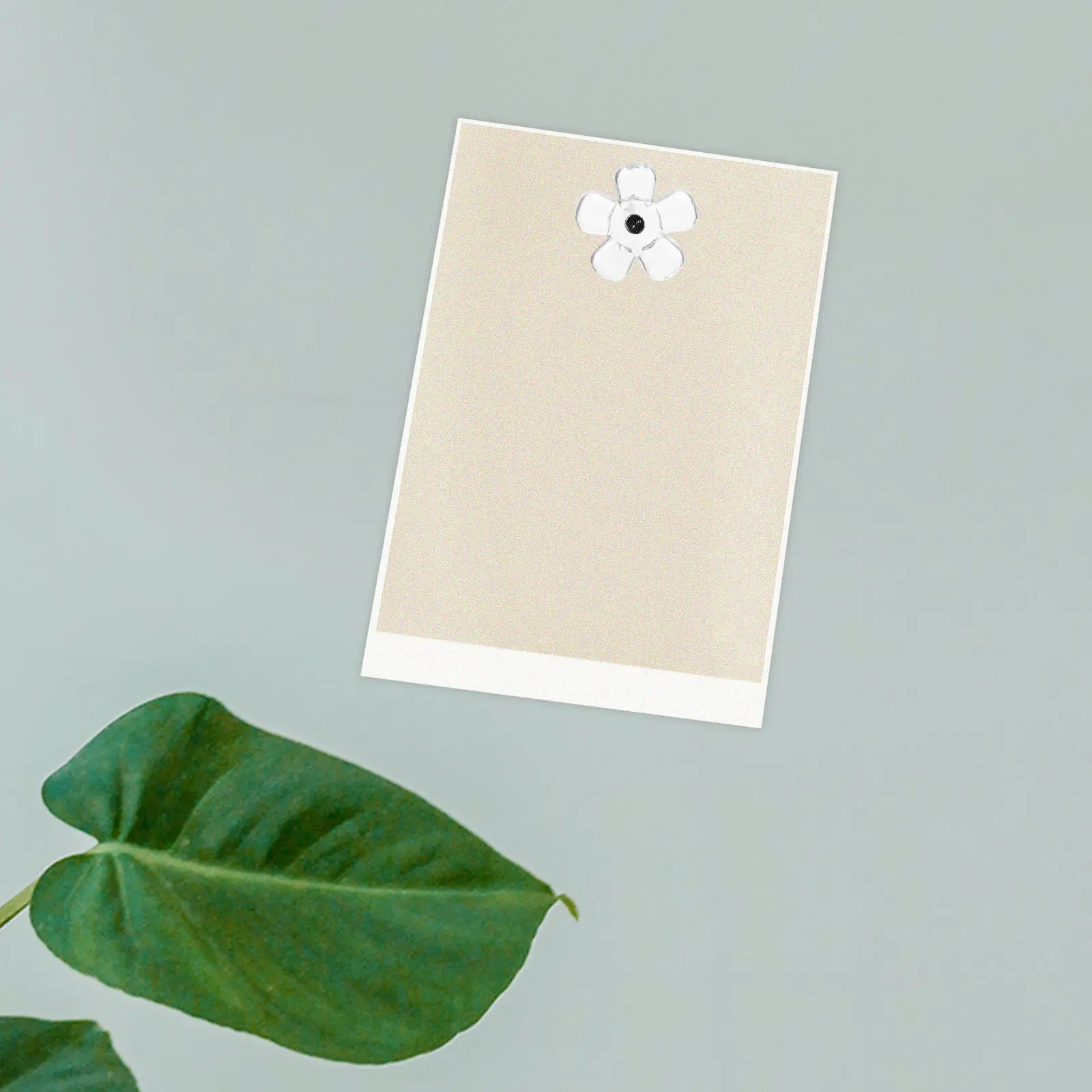 100개 투명 꽃 모양 푸시핀, 사무실 큐비클 코르크 보드 벽걸이 사진핀, 아트워크 보드용 인체공학적 푸시핀