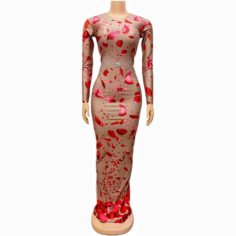 

Rose Flowers Printed Silver Stones Spandex Skinny Long Dress Female Singer Stage Wear Birthday Evening Show Stretch Outfit
