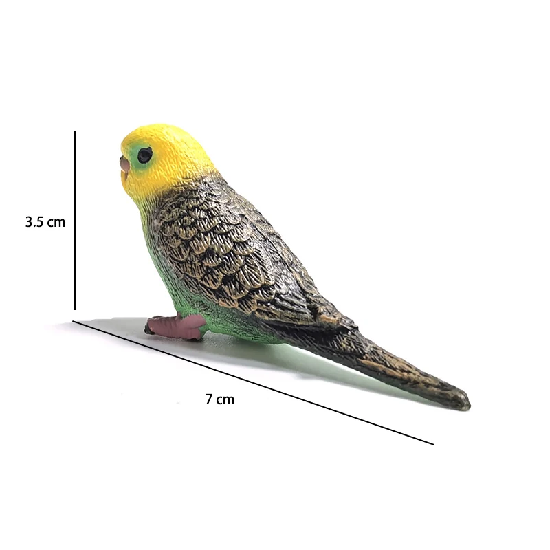 Mini süße simulierte Papagei Kinder Ornament Spielzeug Tier Modell PVC Kunststoff Handwerk Ornament Zoo künstliche Vogel Statue Hause – Detail 13