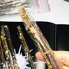 Thai Giant Mimic Bamboo Stick Insect Specimen Decoration Real Insect Display Research Photography Taxidermy 4